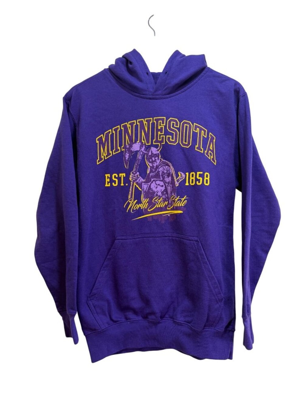 Retro Minnesota Gameday Hoodie Viking Graphic Sweatshirt  North Star State 1858
